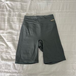 Whitney Simmons Evergreen Biker Shorts